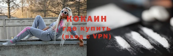 ECSTASY Горняк