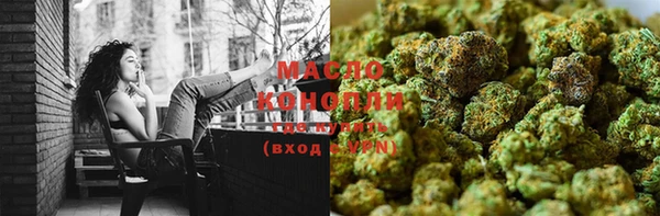 ECSTASY Горняк