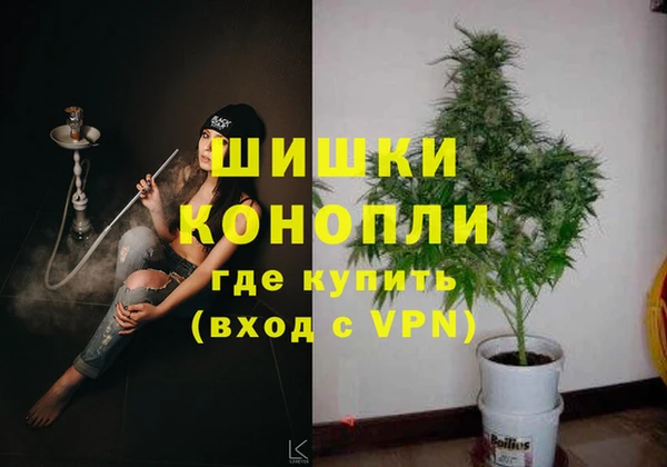 ECSTASY Горняк