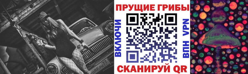 Псилоцибиновые грибы GOLDEN TEACHER  Купить  Куртамыш 